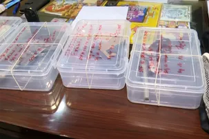 STF busts inter-state gun racket in Bhubaneswar; pistols seized, two arrested