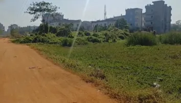 Fake farmers, fake land: Massive paddy MSP scam rocks Odisha’s Keonjhar