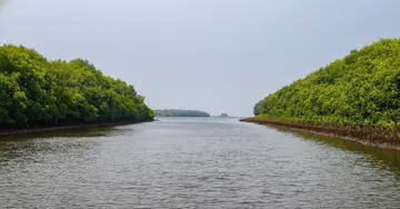 Odisha targets 15 iconic tourism destinations, 15 lakh jobs: CM Majhi at Konark Eco Retreat