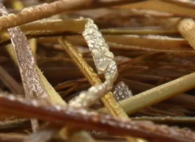 Cold wave grips Odisha, Semiliguda coldest at 5.2°C