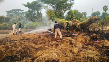 High-tension horror: Snapped 11 kV power line sets five acres of paddy on fire in Balasore