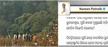 Rape Cases in Odisha