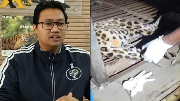 Leopard rescued from hunter
