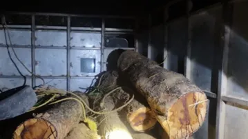 Timber mafia snatch seized vehicle from Forest Department in Balasore