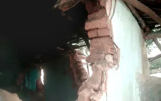 2 wild elephants wreck houses, devour grains in Odisha’s Keonjhar