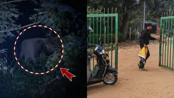 Bhubaneswar Shikharchandi hills reopen to visitors as tusker duo returns to Bharatpur forest