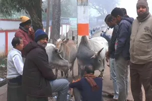 Severe cold and dense fog disrupt normal life in Kandhamal, temperature recoded below 5 deg C