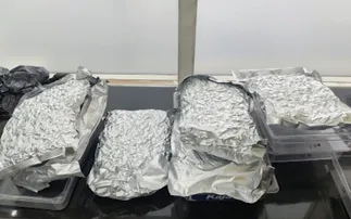 Marijuana worth Rs 8 cr seized at Bhubaneswar airport