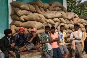 Satellite survey flags nearly 19L fake paddy plots in Odisha