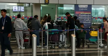 Air India Flight Disruption