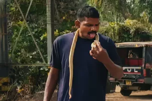 Youth critical after rare snake bites him in Bhadrak; reptile goes missing