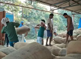 Odisha govt accepts millers’ demands, paddy procurement resumes in 19 districts2026-01-07 171729