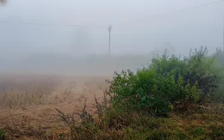 Bhubaneswar breaks 13-year-old record as mercury drops to 9.4 deg C