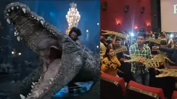 The Raja Saab craze: Fans bring ‘crocodiles’ to theaters after Prabhas’ fierce reptile face-off, watch