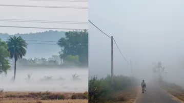 Cold wave returns to Odisha, dense fog disrupts normal life in several districts