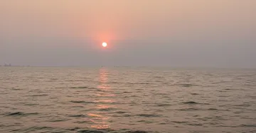 Three-day dolphin census to begin in Chilika from tomorrow