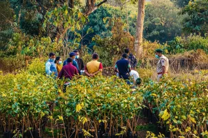 Dead elephant disappearance case: Kandhamal Ranger suspended, driver arrested