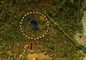 Youth goes missing in Odisha’s Bolangir after alleged threats; slippers recovered, probe underway