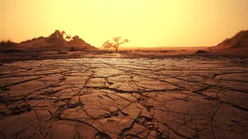 India among worst hit as extreme heat risks rise sharply: Oxford study