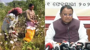 Textile mills planned in cotton-producing Odisha districts: CM Mohan Majhi