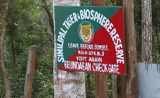 Rare lichens with anti-cancer properties found in Odisha’s Similipal forest