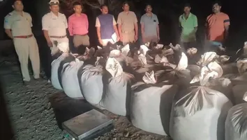 Cannabis oil worth Rs 25L seized