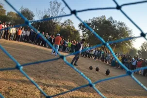 Illegal cockfighting thrives in Sundargarh