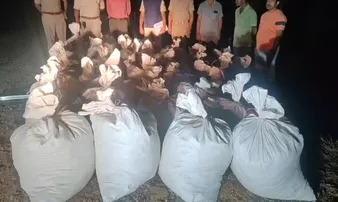 Major drug haul in Malkangiri as ganja worth Rs 1 crore seized by Kalimela Police