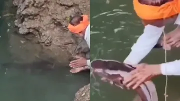 Watch how devotion and nature intersect in serene viral clip!