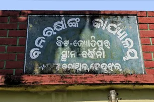 2 wild boars die after falling into well in Odisha’s Keonjhar