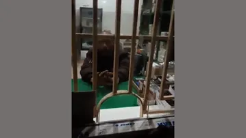 Inquiry ordered after pharmacist accused of dispensing wrong medicines at govt hospital in Bolangir