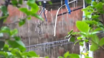 Low-pressure likely to trigger rainfall in Odisha