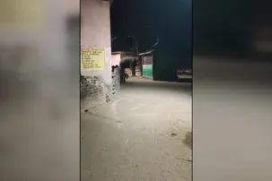 Midnight elephant intrusion sparks panic in Dhenkanal’s Kamakshyanagar