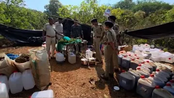 Cannabis oil manufacturing unit unearthed on island in Koraput