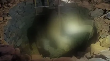 lephant calf dies after falling Into well in Odisha’s Keonjhar