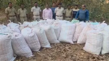 Kandhamal police seize 21,000 kg of contraband worth Rs 30 crore during ‘Operation Neel Jahar’