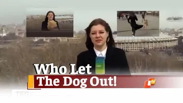 CAUGHT ON LIVE TV: Dog Snatches Microphone From Russian Journalist | OTV News