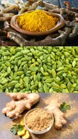 From Turmeric to Ginger: Indian Spices with Powerful Healing Benefits
