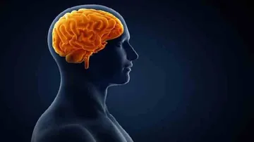 New AI model helps assess brain injury in patients