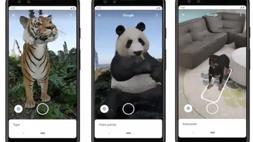 Google Adds 50 More AR Animals In Search