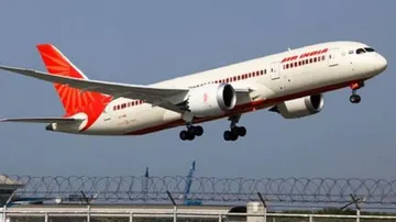Stray dogs force Air India to abort landing in Goa
