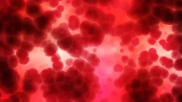 Covid-19 Antibodies Provide Lasting Immunity