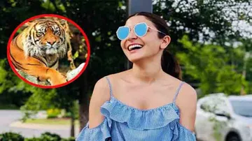 Anushka Sharma promotes tiger conservation