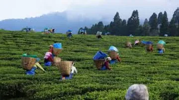 Assam again on the edge