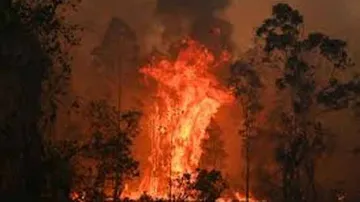 Seven Dead, Over 200 Homes Destroyed In Australia Fires