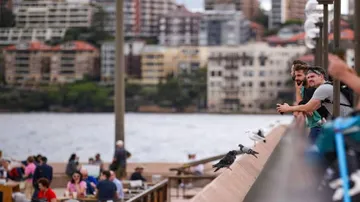 Chappell-Hadlee series, Aus tour of NZ postponed due to COVID-19