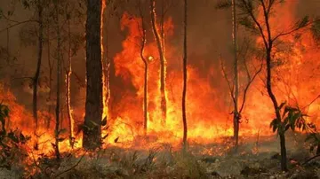 Australian Bushfires Toll Rises To 27