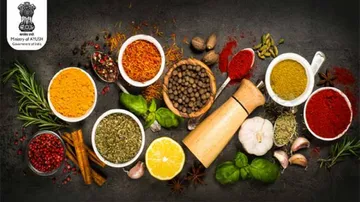 WHO Global Centre For Traditional Medicine In India