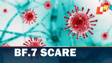 BF7, Omicron Variant