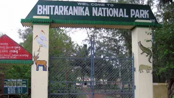 Bhitarkanika To Reopen For Visitors On October 19; COVID19 SOP Issued
